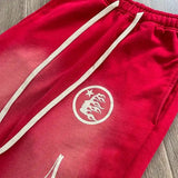 Pantaloni della tuta svasati rossi HLSTR