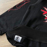 Felpa con cappuccio HLSTR Sports Future Flame Black