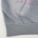 Felpa con cappuccio HLSTR Future Flame Grey/Rosa