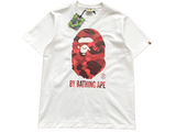 MAGLIETTA BP